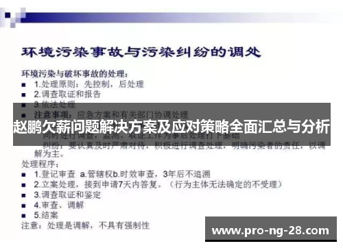 赵鹏欠薪问题解决方案及应对策略全面汇总与分析 赵鹏欠薪问题解决方案及应对策略全面汇总与分析