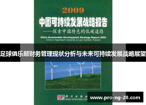 足球俱乐部财务管理现状分析与未来可持续发展战略展望 足球俱乐部财务管理现状分析与未来可持续发展战略展望