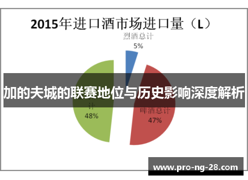 加的夫城的联赛地位与历史影响深度解析 加的夫城的联赛地位与历史影响深度解析