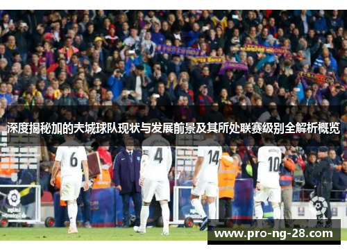 深度揭秘加的夫城球队现状与发展前景及其所处联赛级别全解析概览