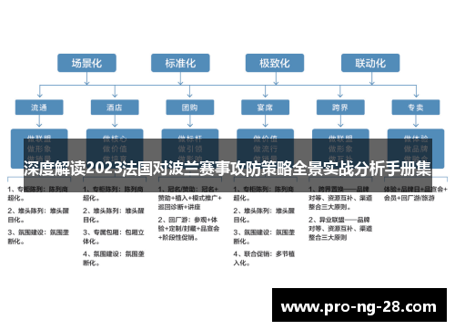 深度解读2023法国对波兰赛事攻防策略全景实战分析手册集 深度解读2023法国对波兰赛事攻防策略全景实战分析手册集