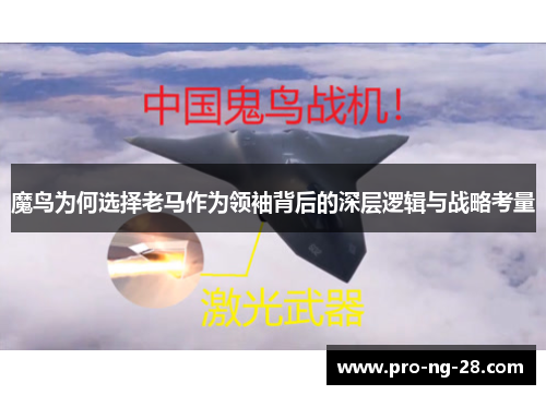 魔鸟为何选择老马作为领袖背后的深层逻辑与战略考量 魔鸟为何选择老马作为领袖背后的深层逻辑与战略考量