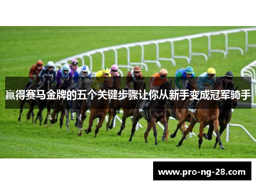 赢得赛马金牌的五个关键步骤让你从新手变成冠军骑手 赢得赛马金牌的五个关键步骤让你从新手变成冠军骑手