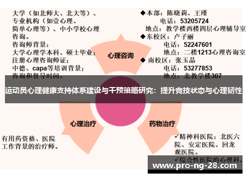 运动员心理健康支持体系建设与干预策略研究：提升竞技状态与心理韧性