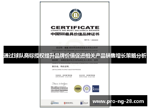 通过球队商标授权提升品牌价值促进相关产品销售增长策略分析 通过球队商标授权提升品牌价值促进相关产品销售增长策略分析